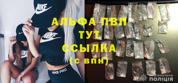 молекула духа Майский