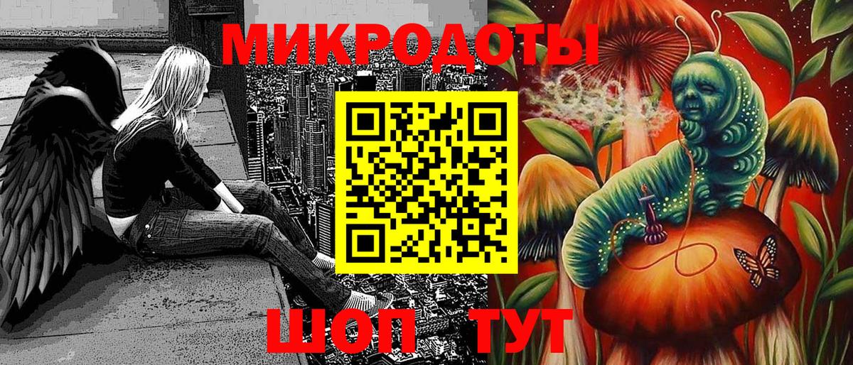 Псилоцибиновые грибы Psilocybine cubensis Нижний Новгород