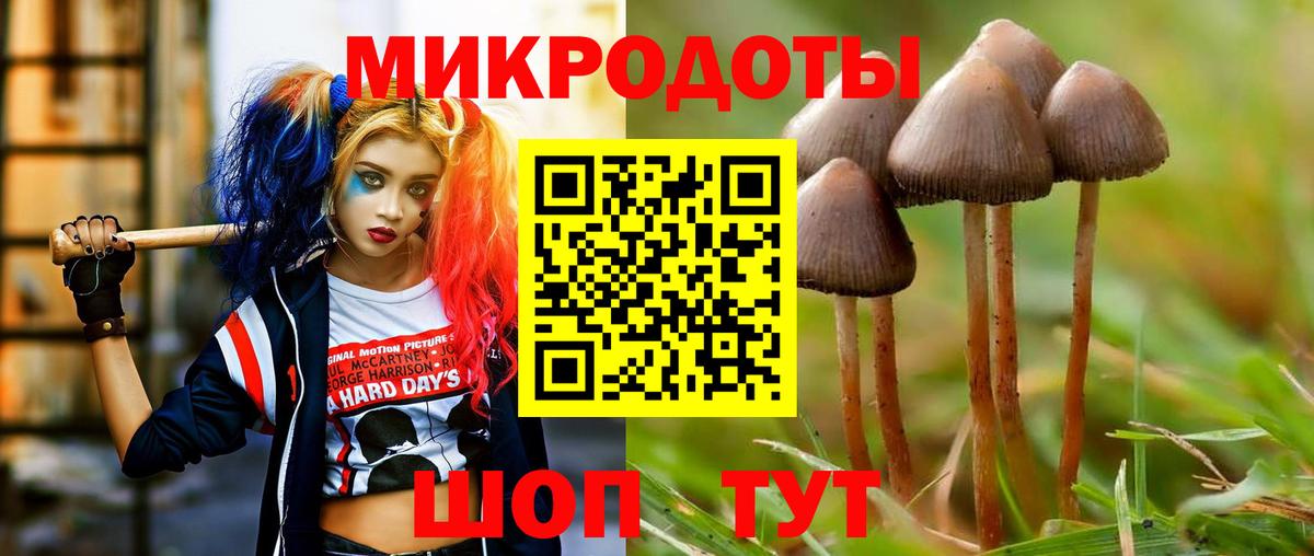 Нижний Новгород  как найти наркотики  Вход с VPN  Галлюциногенные грибы Psilocybe 