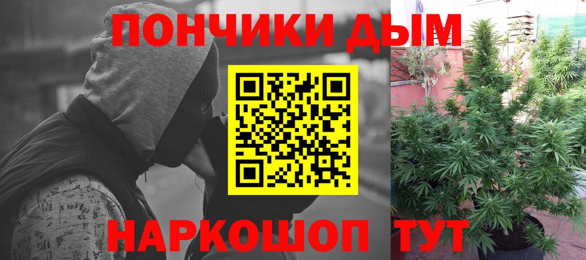 Шишки марихуана сатива Нижний Новгород